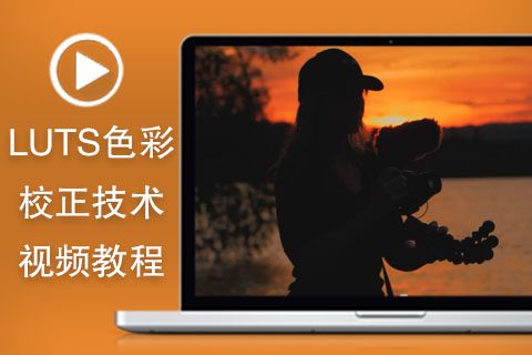 Premiere Pro中LUTS色彩校正技术训练视频教程