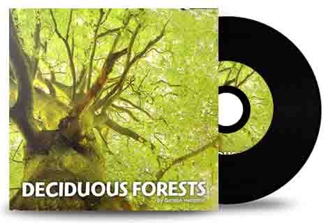 音效素材-192组大自然雨林森林环境虫鸣鸟叫环绕立体无损音效 Deciduous Forests