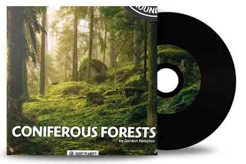 音效素材-181组静谧针叶树林森林虫鸣鸟叫大自然环境环绕立体声无损音效 Coniferous Forests