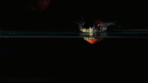 O1CN01IXGjXA21V0h5UZXD6_3305106989