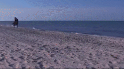 O1CN013ePNp129pB3hGUGVL_2069558116