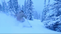 O1CN01IOzZOH29pB3XDgHDr_2069558116