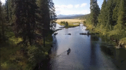 O1CN01n58aVH29pB3ez5u7D_2069558116