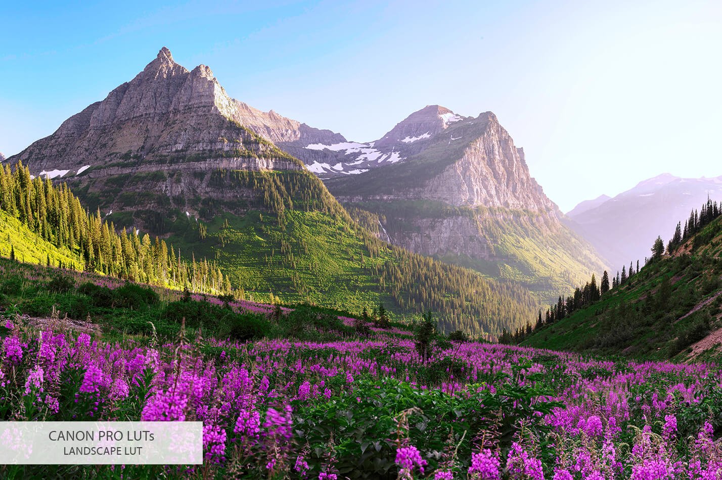 202006201548104 202006201548104