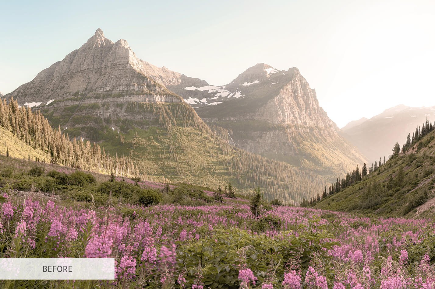 2020062015481069 2020062015481069