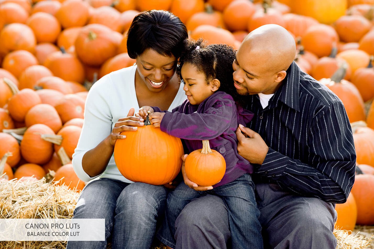 2020062015481092-1 2020062015481092-1