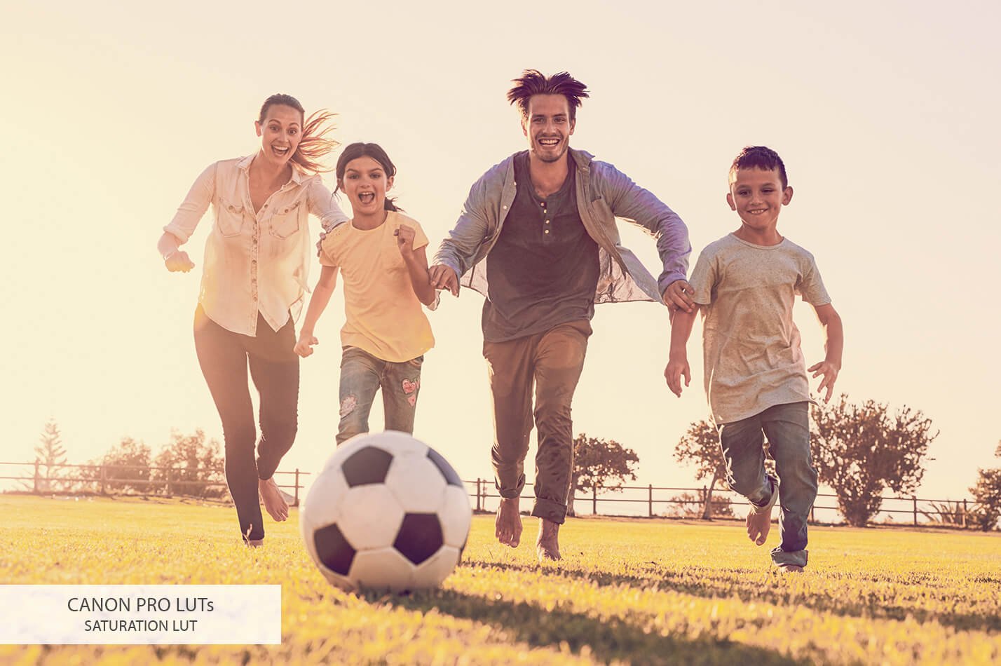 2020062015481439 2020062015481439