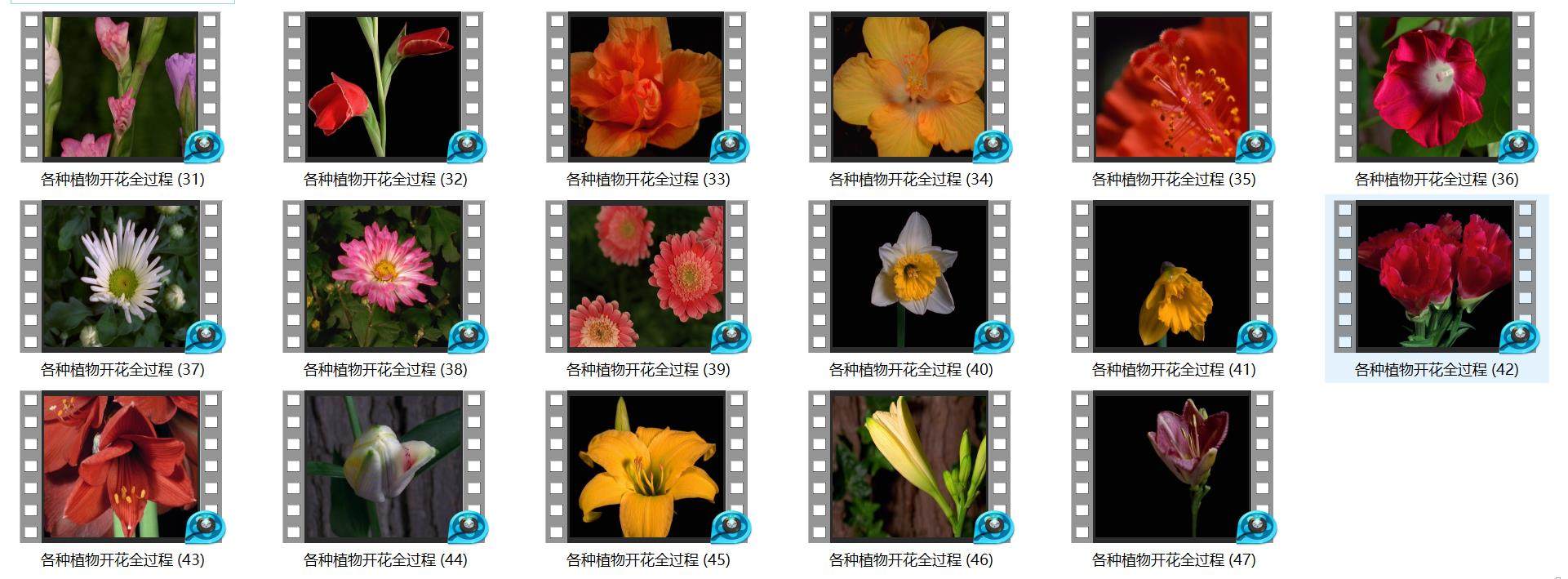 O1CN0144USNj1K3xyZPWXxh_2448921109