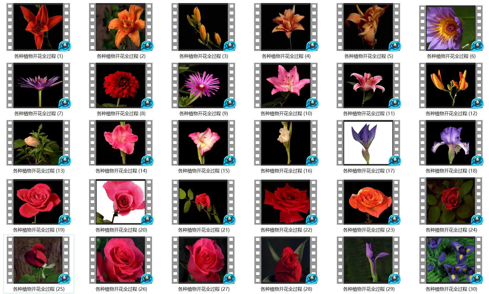 O1CN01KJwnc11K3xykqcwsz_2448921109